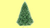Click to view detail